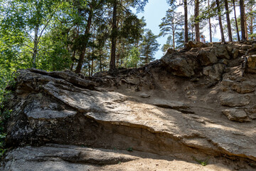 spring in the forest