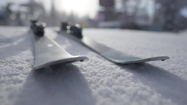 Two skis fall on snow