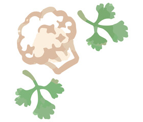 おしゃれな野菜の水彩風イラスト。フレーム用のコーナー。ベクター素材だからデザインに使いやすい。