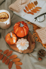 Cozy autumn decor - burning candle shape of pumpkin and orange decor pumpkins on wooden board on bed with open book, cup of tea and warm sweater - 612202582