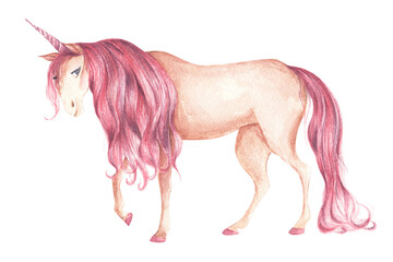 Obraz na płótnie Canvas Beautiful unicorn with pink colored hairstyle. Hand drawn fantasy art. Cute fantasy animal. Watercolor illustration.