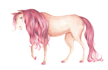 Naklejka na ściany i meble Watercolor painting of horse. Animal illustration.