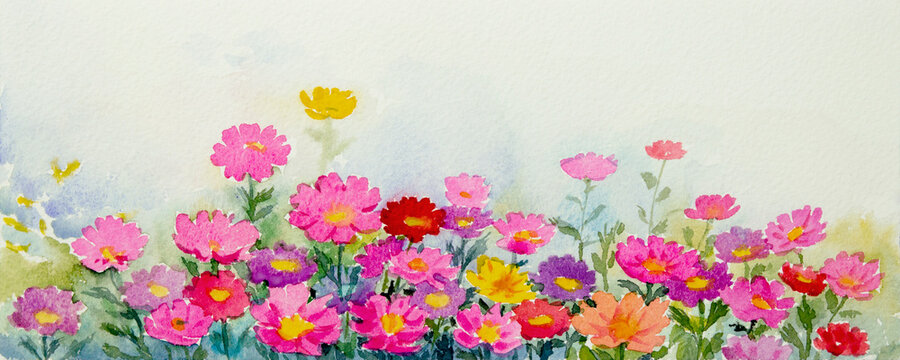Watercolor landscape paintings colorful of field of pink daisies garden