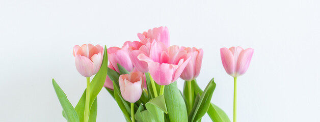Pink tulips bouquet in glass vase on white background copy space