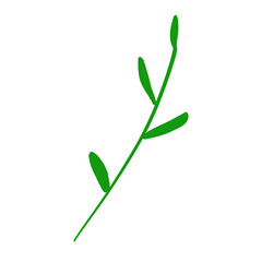 plant isolated on white yellow flower,vase,flower,plant,nature,bouquet,flowers,wheat,decoration,spring,willow,branch,glass,bunch,floral,dried,design,gold,cereal,summer,stem,grain,leaf,life,illustratio