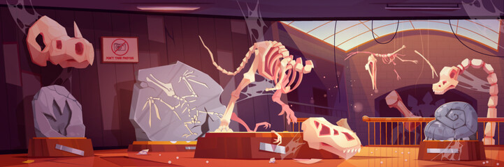 Abandoned museum and broken fossil dinosaur cartoon vector exhibit. Tyrannosaurus paleontology disaster illustration. Dirty old jurassic gallery room interior with spider web on window and bone © klyaksun