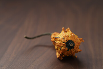 Decorative pear pumpkin on wood table