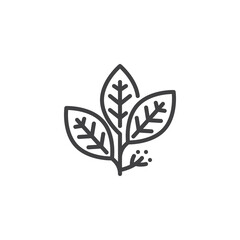 Bay leaves line icon
