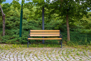 Empty bench in green and beautiful park