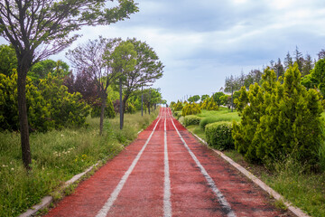 Empty and green red walking path in the park