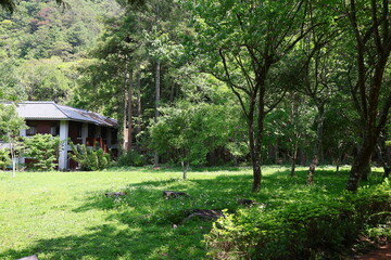 April 29, 2023: Nantou Aowanda National Forest Recreation Area