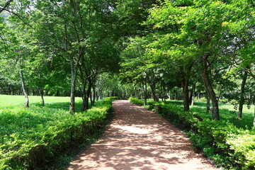 April 29, 2023: Nantou Aowanda National Forest Recreation Area