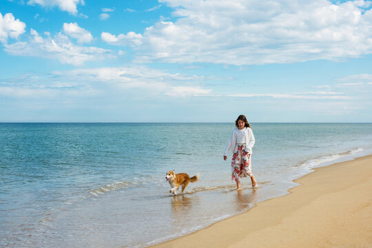 Pretty teenage girl walking with her dog on a paradise beach