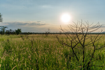 Sunset over the plains of grass and forest towards Drakensbergen outside of Hoedspruit close to Kruger National Park in South Africa