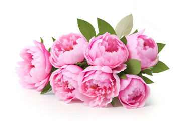Pink peony flowers bouquet isolated on white background. Closeup. Generative AI
