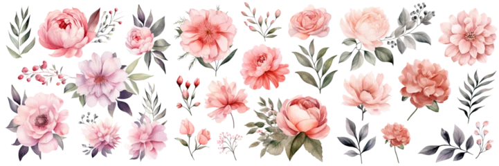 Tuinposter Watercolor blush floral clipart , Watercolor collection of hand drawn flowers , Botanical plant illustration transparent background, PNG ,Generative AI © HappyTime 17
