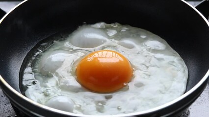 Cracked raw chicken egg into hot frying pan