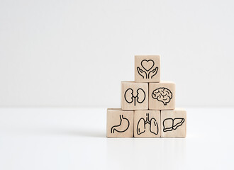 Healthcare and internal organ protection. Health insurance. Protection, treatment and prevention of diseases.