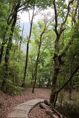 April 29, 2023: Nantou Aowanda National Forest Recreation Area