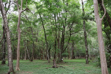 April 29, 2023: Nantou Aowanda National Forest Recreation Area