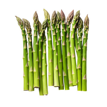 Fresh asparagus isolated on white background, generative ai