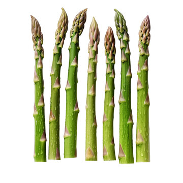 Fresh asparagus isolated on white background, generative ai