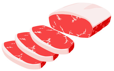 Chunk and slices of raw beef against white background