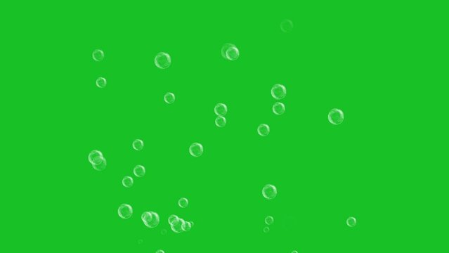 Flying soap bubbles on green screen background motion graphic effects. 