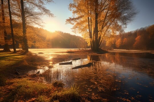 Vibrant Autumn Scene: Fall Landscape, Warm Hues and Colorful Foliage, Trees With Colorful Leaves - Generative AI