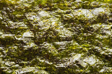 Dry nori seaweed sheet texture background