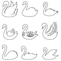 Swan vector icon set. Bird illustration sign collection. Pond symbol or logo.