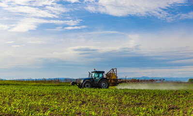 Tractor spraying corn