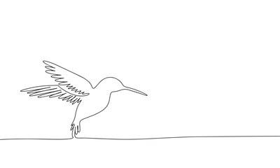 Hummingbird  isolated on white background. One line continuous vector illustration. Line art, outline.