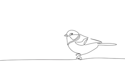 Tit bird are sitting isolated on white background. One line continuous vector illustration. Line art, outline.