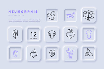 Vegetable Vector Illustration. A colorful and visually appealing vector illustration featuring a variety of fresh and healthy vegetables. Neomorphism. Vector line icon for Business