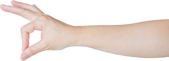 Woman hand gesture holding something isolated on white background