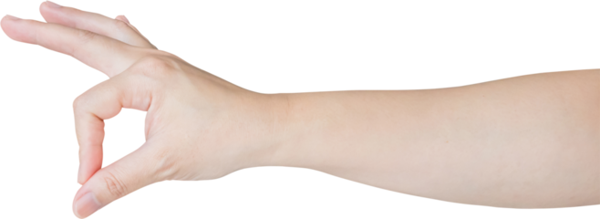 Woman hand gesture holding something isolated on white background