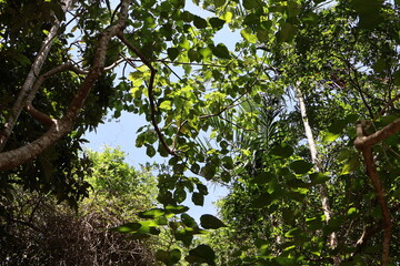 June 5, 2023: Kenting National Forest Recreation Area