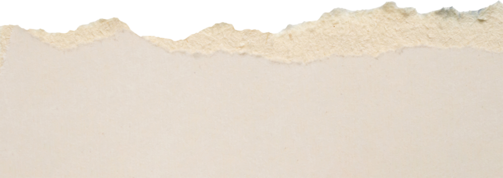 White ripped paper torn edges strips isolated on white background