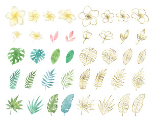 夏の植物 プルメリアと葉っぱの水彩素材ベクターイラストセット