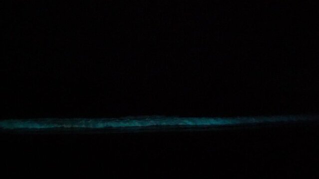 bioluminescence caused by living organisms in the sea water, such algae and plankton, at the coastline of the pacific ocean in Peru