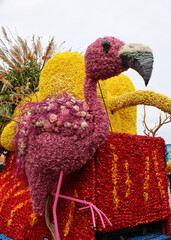 : Spectacular flower covered floats in the annual spring flower parade from Noordwijk to Haarlem in the Netherlands.
