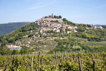 Fototapeta na wymiar the village of Motovun, Istria, Croatia and mountains in the background with a clear blue sky 