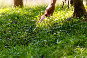 Man picks up a bird's feather in a meadow on the banks of a stream © janny2
