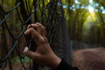Woman clenched a wired fence in the forest. escaping the civil war concept photo