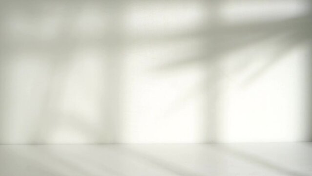 White room with window and leaf shadow overlay