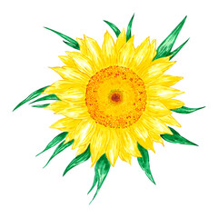 Hand drawn watercolor yellow sunflower isolated on white background. Can be used for print, postcard, poster, book decoration and other printed products.