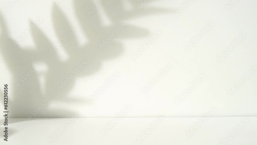 Poster minimalist room with leaf shadow animation overlay