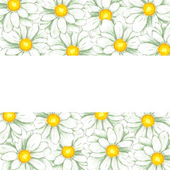 Hand drawn watercolor chamomile frame isolated on white background. Can be used for print, postcard, poster, book decoration and other printed products.