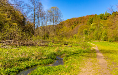 Saspowka creek in Saspowska Valley nature park and reserve in spring season within Jura Krakowsko-Czestochowska Jurassic upland near Cracow in Lesser Poland